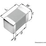 C1005C0G1H1R5B electronic component of TDK