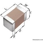 C1005X5R0J225M electronic component of TDK