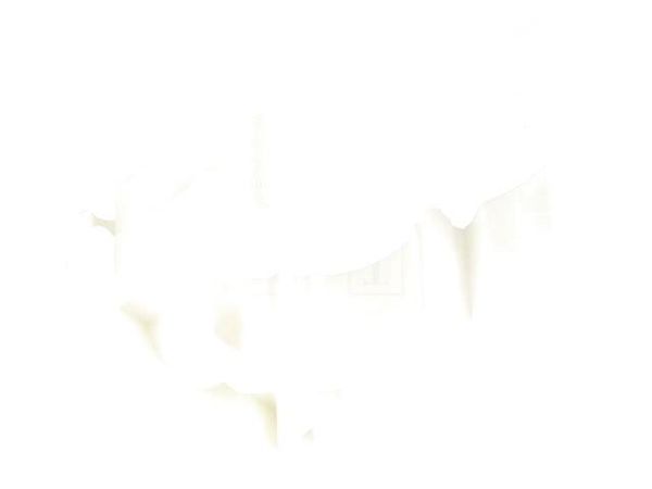 UZ-20 WHITE  Wire & Cable