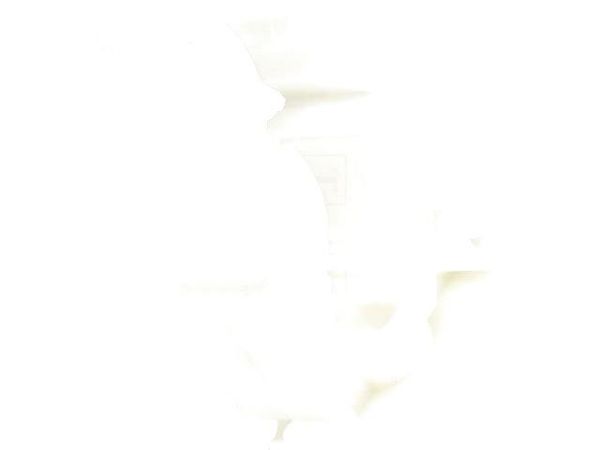 UZ-20 WHITE Conduit Fittings & Accessories