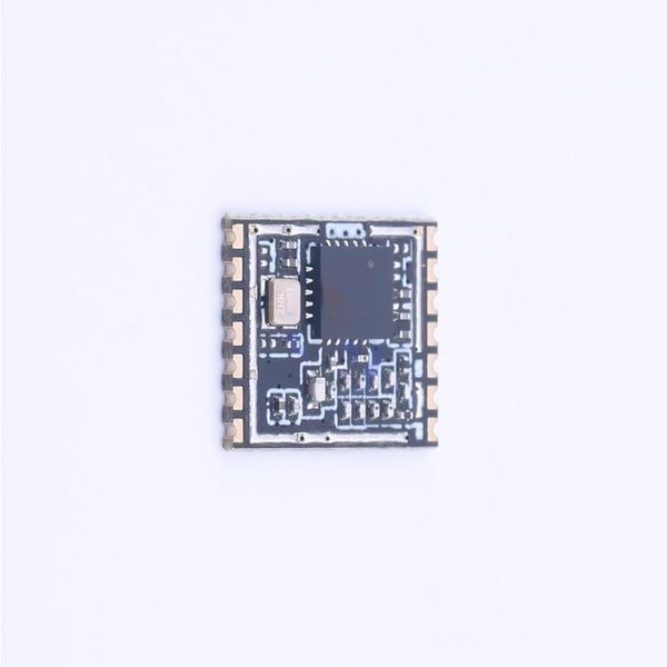 VG4131S433N0S1 RF Modules