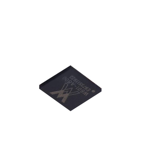 W60002FT20T  Semiconductors