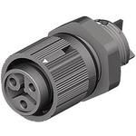46.031.5053.1 electronic component of Wieland