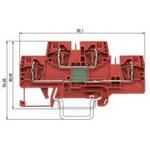 wieland_5670475555_xon_06