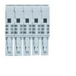 wieland_5990308550_xon_06