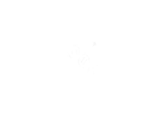 WS-EUR-C WI-FI  Electromechanical