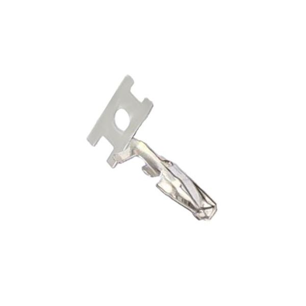 X2006-T-PN  Connectors