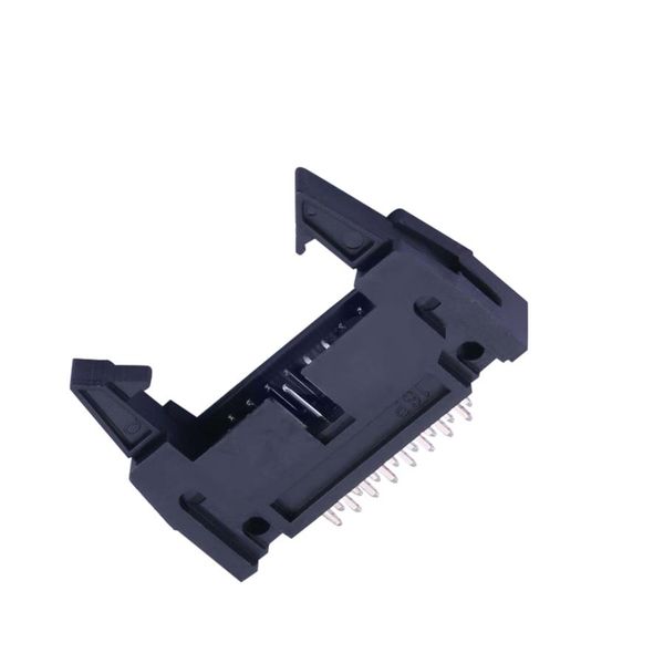 X9555WV-2x08A-PTV01  Connectors