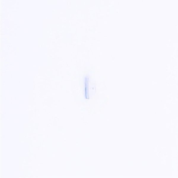 XL-2106SYGC Standard LEDs - SMD