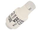 002312107  Circuit Protection