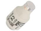 002313101  Circuit Protection
