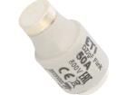 002313102 Cartridge Fuses