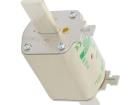 004184420 Cartridge Fuses