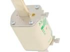 004184424 Cartridge Fuses