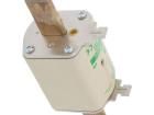 004184431 Cartridge Fuses
