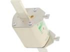 004185416 Cartridge Fuses