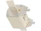 004186221 Cartridge Fuses