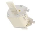 004186224 Cartridge Fuses