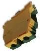 016513023  Electromechanical