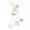 AGC10A/100 Cartridge Fuses