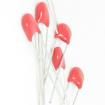 027813CB Varistors