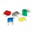 0297025.WXT  Circuit Protection