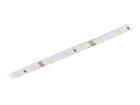 10001681  Optoelectronics