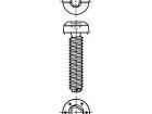 3646072 Screws & Fasteners