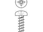 3033901 Screws & Fasteners