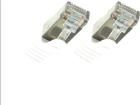 CP2031S  Wire & Cable