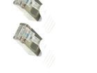 CP2031S Ethernet Cables / Networking Cables