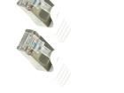 CP2081S Ethernet Cables / Networking Cables