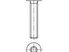 3055575 Screws & Fasteners
