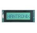 HDM64GS24L-2-Y14S electronic component of Hantronix