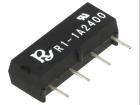 R1-1A2400 electronic component of Rayex
