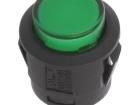 R13-523AL-05-BG-L-1 Pushbutton Switches