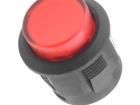 R13-523AL-05-BR-L-1 Pushbutton Switches