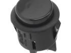 R13-541A-01-BR Pushbutton Switches