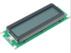 RC1602D-GHY-ESX electronic component of Raystar