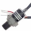 M3041-000006-01KPG Industrial Pressure Sensors