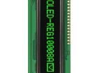 REG010008AGPP5N00000 OLED Displays & Accessories