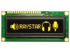 REG010016AYPP5N00000 electronic component of Raystar