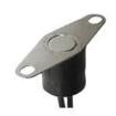 3455RBV04490005 Thermostats