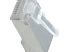 RJ45WED Modular Connectors / Ethernet Connectors