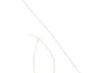 111-02159 Cable Ties
