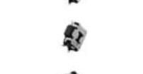 EVQ-P7M01P Tactile Switches