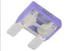 MAXIVAL 100A  Circuit Protection
