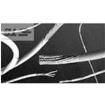 115655-000  Wire & Cable