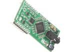 TEXTTOSPEECH CLICK Development Boards & Kits - Wireless