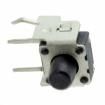 431256058716 Tactile Switches